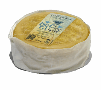Queijo de Cabra Curado Beira Lacte