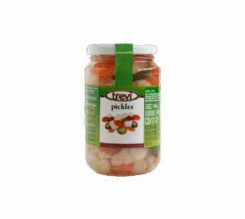 Pickles 360g – TREVI
