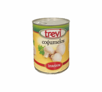Cogumelos Inteiros TREVI – 355g
