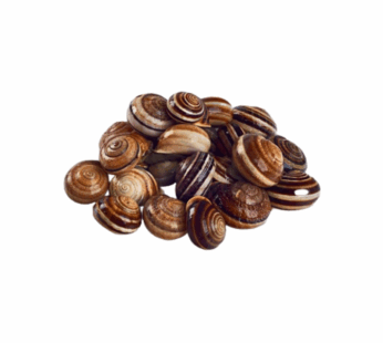 Caracol Pronto a Comer – Balde 1kg